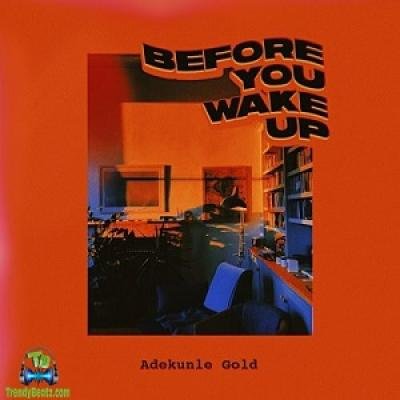 Adekunle Gold - Before You Wake cover
