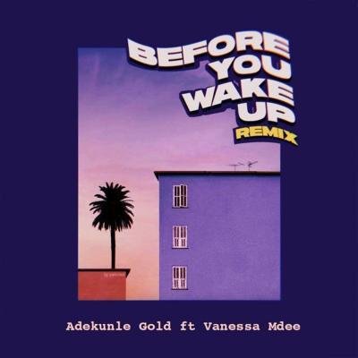 Adekunle Gold ft Vanessa Mdee - Before You Wake Up Remix cover